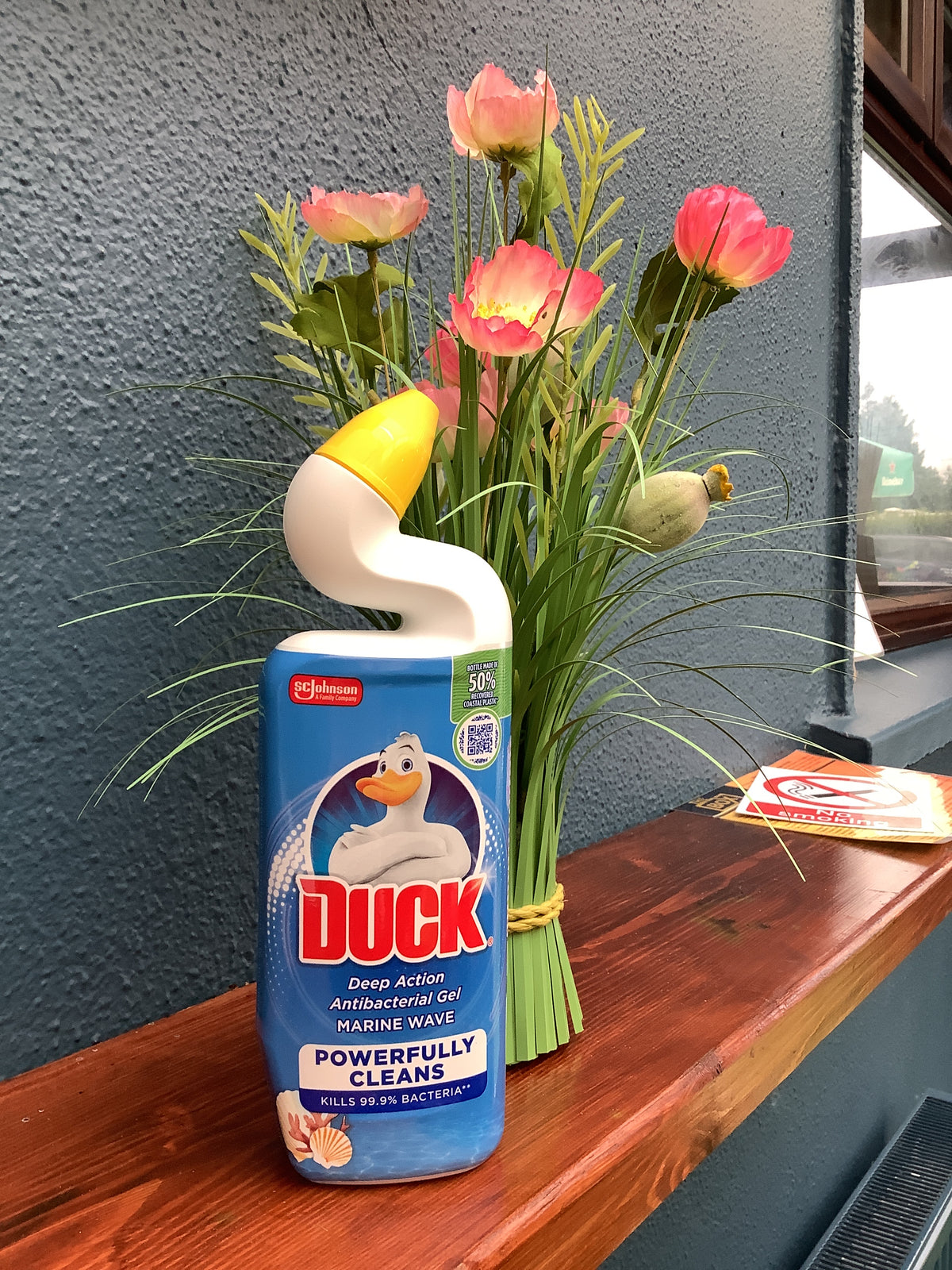 Duck